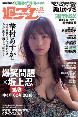 南来北往电视剧免费观看完整版