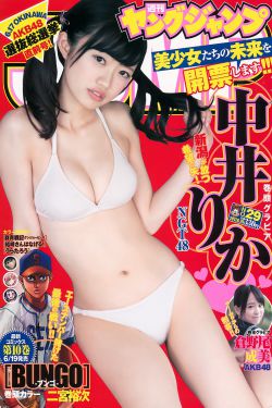七龙珠国语
